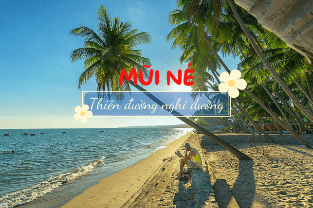 Mũi Né Thiên Đường Nghỉ Dưỡng Không Thể Bỏ Lỡ